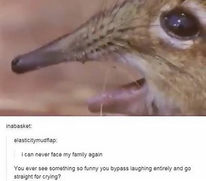 Take a look at that snout