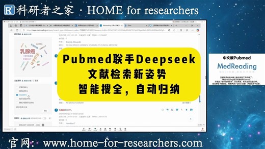 Deepseek全自动文献检索