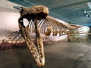 Manitoba Museum and Planetarium in Winnipeg, Canada