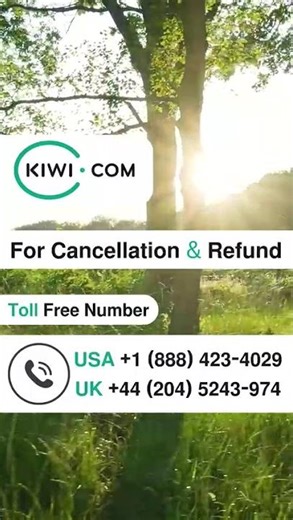 Kiwi.com Cancellation and Refund Process Explained