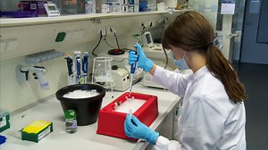 In Vitro Analysis of E3 Ubiquitin Ligase Function