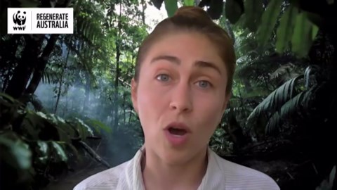 CSIRO releases climate adaptation strategies to support wildlife conservation amid climate change challenges in Australia