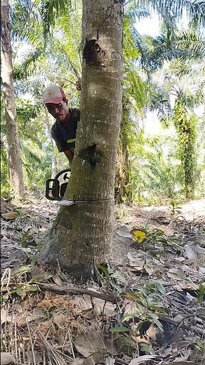 360 degree rotation technique!