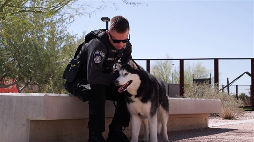 It’s Wednesday‼️ Why Peoria⁉️ 🐾 WE'RE HIRING: Animal Control Officers 🐾 Have experience working with animals? Passionate about public service? Join our team as an Animal Control Officer and help keep our community safe for people and pets alike! What You'll Do 🐕 Enforce city codes related to animal care & control 📞 Respond to emergency & non-emergency animal-related calls 🦝 Safely transport and handle domestic animals, wildlife, and livestock 🚓 Patrol city streets to locate stray animals a