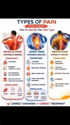 Types of Pain Explained | Muscle Pain vs Joint Pain vs Nerve Pain (Easy Guide)