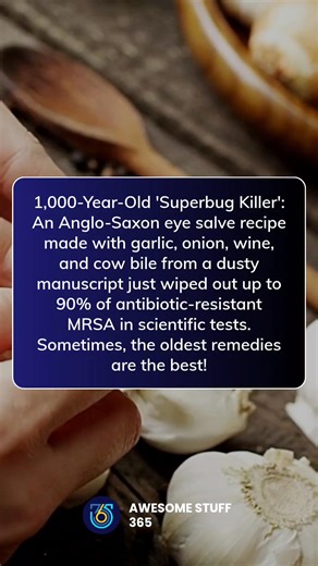 1.2M views · 19K reactions | A 1,000-year-old cure just stunned modern science. An ancient Anglo-Saxon recipe made from garlic, onion, wine, and cow bile wiped out antibiotic-resistant bacteria in lab tests. Sometimes wisdom from the past holds the answers the future needs. 龍 #Science #History #Medicine #AwesomeStuff365 | Awesome Stuff 365 | Facebook