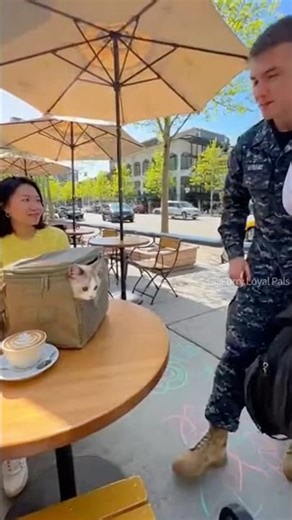 🥰 🐈 Soldier Surprise! Cat Jumps from Bag to Hug! #cat