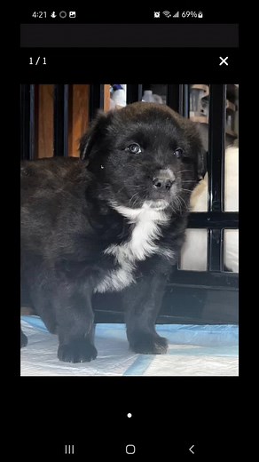 Odalys Garcia (@odalys_2_3)’s videos with