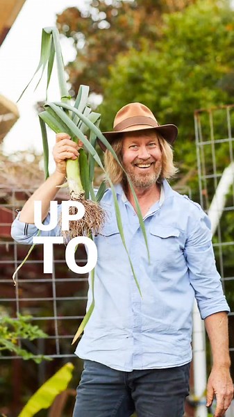 Leeks: Easy to Grow and Budget-Friendly Gardening