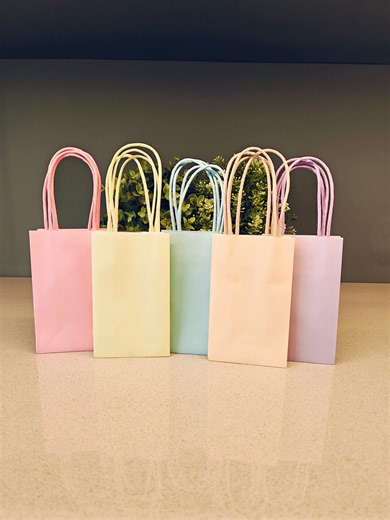 Pastel Mini Gift Bags: Set of 10 Small Paper Party Favor Bags - Etsy