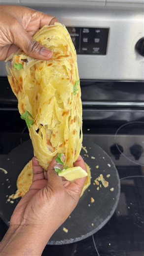 How to Make Delicious Chapati and Parantha Recipe