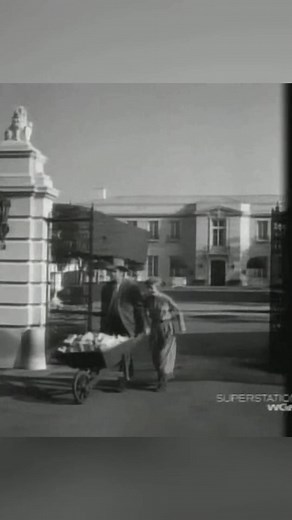 #TheBeverlyHillbillies #BeverlyHillbillies #HillbillyHumor #TelevisionClassic #GoldenAgeOfTelevision | Bvrly Hilbilies