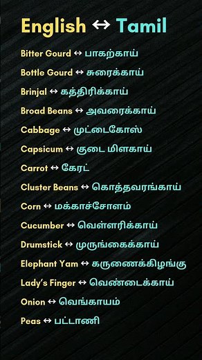 Daily Use English to Tamil Words | Basic English to Tamil | Spoken English Practice #english #shorts