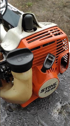 Stihl fs 55