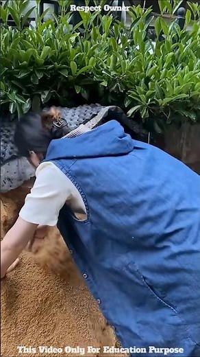 Tiny Hamster’s Dangerous Escape Adventure 🐹⛏️ #Shorts #Viral