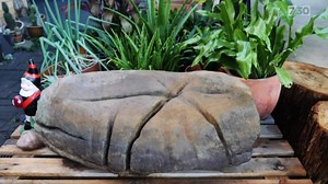 The journey to return the Star of Taroom