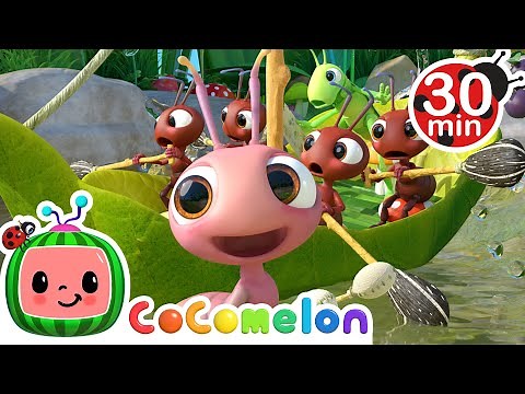 Row, Row, Row Your Boat | ‪@CoComelon‬