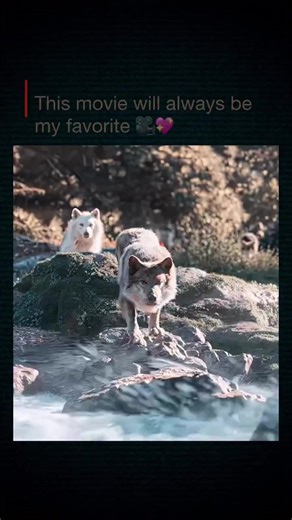 DYNAMITE (@dynamite.com6)’s videos with original sound - DYNAMITE