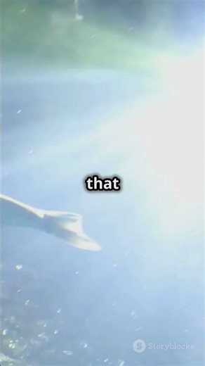 Vortex Modulation for Separating Coherent and Incoherent Light in Underwater Lidar