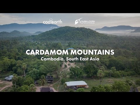 The Cardamom Mountains, Cambodia | Saving rainforest in South East Asia with Cool Earth and FFI