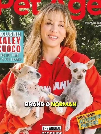 The Big Bang Theory Cast_ Where Are They Now_ #actors #longervideos #celebrities | CCC.TV