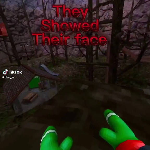 Face reveal #fyp #fypシ #fy#pleasedontflop #dontflop#dontletthisflop#blav#blavvr#scary #gtagscary#noflops #joiningghostgorillatagservers #vr #virtual