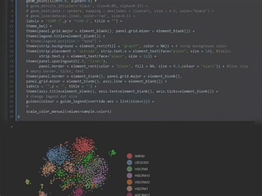 单细胞scRNA-seq全代码流程，全部分享全部代码均有详细中文注释，已经排除bug，可直接复制粘贴运行。