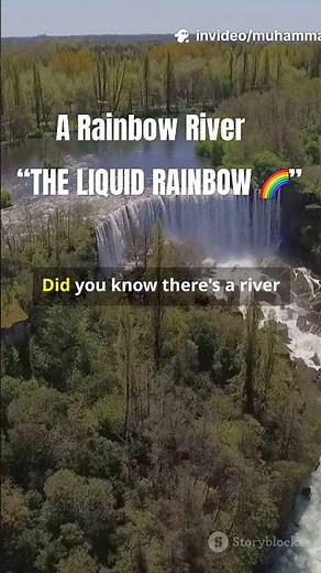 Cano Cristales: The Liquid Rainbow River in Colombia 🌈 | Did You Know?