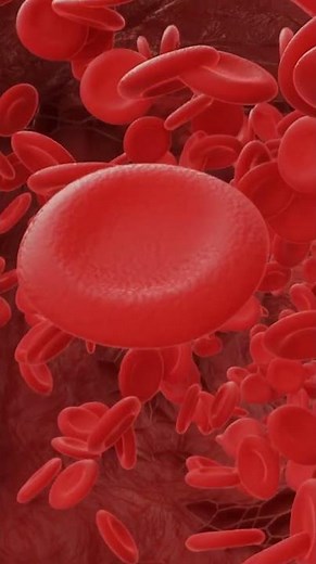 Cold Hands and Feet – What’s Causing It and Why You Shouldn’t Ignore It