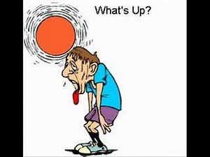 Car Accident As Told by Dane Cook