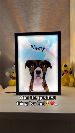 Heartwarming Forgiveness Moments with Dogs