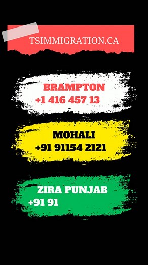 2.6K views · 19 reactions | What are the new rules for LMIA in...