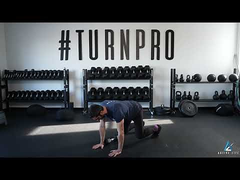 Quadruped Dumbbell Pull Through