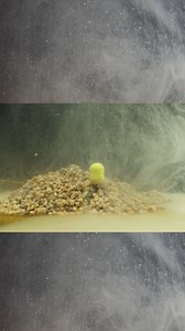 3.2K views · 71 reactions | ⛔✋ STOP EVERYTHING AND WATCH THIS! If...