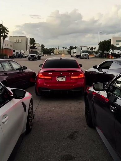 A Little Cool Look At The M4 And M5🥶#bmw#bmwm4#bmwm5#bmwlovers#cars#car#caredit#shorts#subscribe