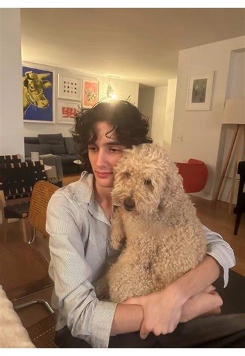 Cool Girls' Sombr: Aesthetic Moodboard Inspiration