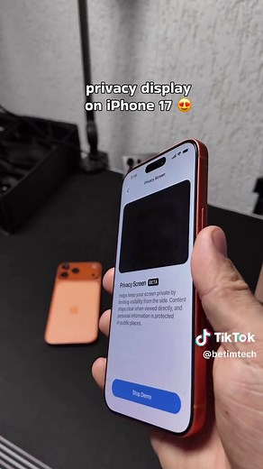 How to Set Up Privacy Display on iPhone 17