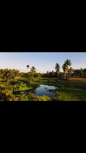 Sumatra where the Jungle meets the Ocean ️  @jpopp270 • • • • • • • #jungle #and #ocean #tropical #sumatra #indonesia #enjoy #the #great #escape #to #paradise #surfinglife #dji #drone #mothernature #aerial #photography #Bestinbaliandbeyond #wanderlust #explore #wonderfulindonesia #BestinBalinow #fypシ #fyp #tropicalisland #bestinbali #islandlife | Best in Bali and beyond | Facebook