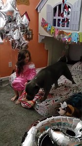 151K views · 5.7K reactions | Thank you all so much for Scarlito's...