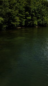 Spring run on the river. 💦 | Florida Panhandle Springs and Fossils