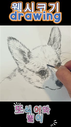 [Drawing]- 웰시코기 강아지 그리기 | a Welsh Corgi #puppy