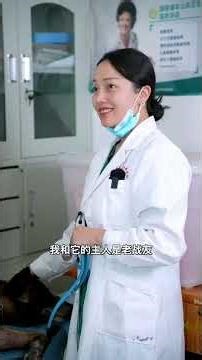 感人故事！狗狗重感冒路边险遭不测，爸爸的战友出手救助♥️🐾