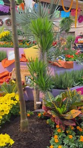 1.4K views · 91 reactions | It's official! The 34th Annual Flower &...