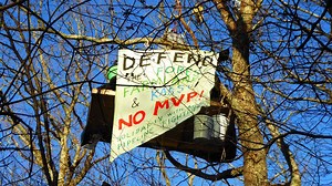 Restraining order issued for pipeline protesters in trees