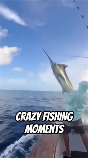 Fishing fails that defy all logic #fishing #funny #fails