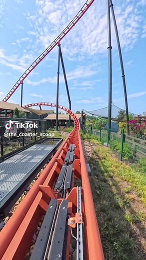 Discover Big Bear Mountain: Dollywood's Thrilling New Coaster!