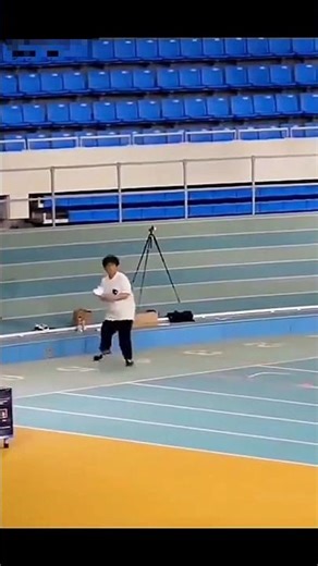 World Record aeroplane😲✈️ #sorts #diy #art #origami #tutorial #youtubeshorts #spinner#aforaeriplane