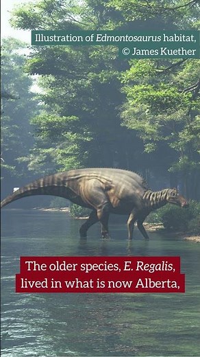 Dinosaurs found in Canada: Edmontosaurus