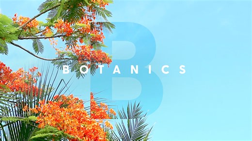 From crystal-clear waters to endless adventures, here’s why the Caribbean should be your next cruise destination! 🏖️😍 | Hays Travel Cruise