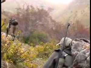 HUNTING SHEEP . chasse au mouflon